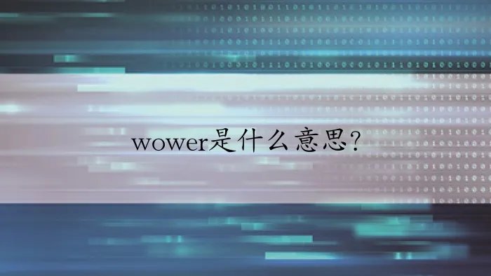 wower是什么意思？