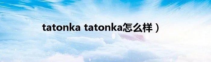 tatonka tatonka怎么样)