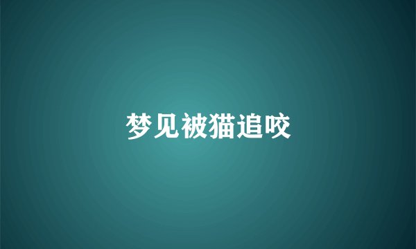 梦见被猫追咬