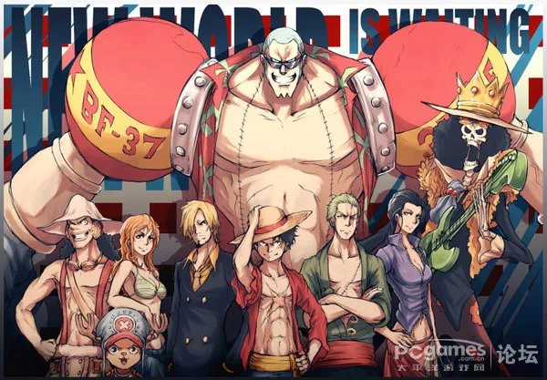 海贼王2年后图片