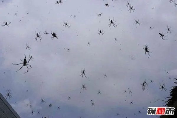 妖精现象是什么?盘点世界上最奇特的20个自然现象