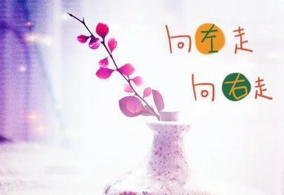 陈苍生苏倾城小说 陈苍生苏倾城免费阅读