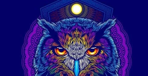 cdr12免费中文版