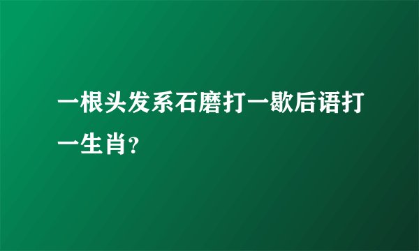 一根头发系石磨打一歇后语打一生肖？