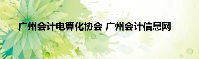 广州会计电算化协会 广州会计信息网