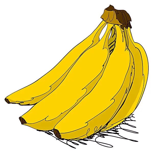 健身的人为什么爱吃香蕉