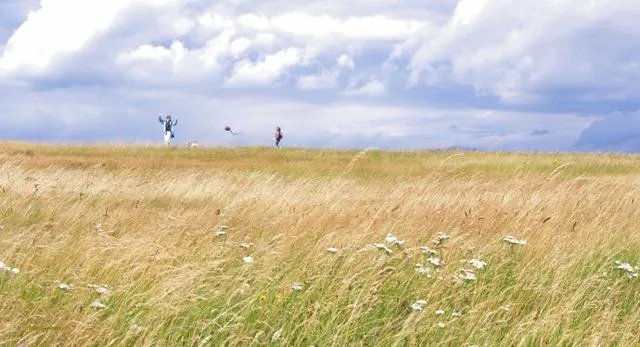 猎场21集里那首外语歌叫什么名字啊？