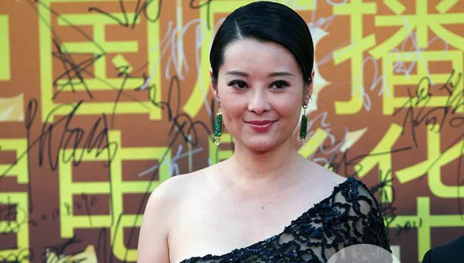 袁立透视装婐照 透视装在华表奖颁奖礼走红