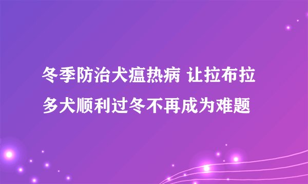冬季防治犬瘟热病 让拉布拉多犬顺利过冬不再成为难题