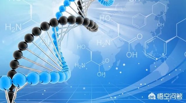 成功“复活死亡猪脑”有什么意义？