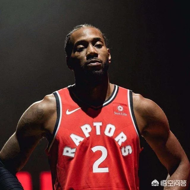 猛龙和勇士，大家更看好谁？