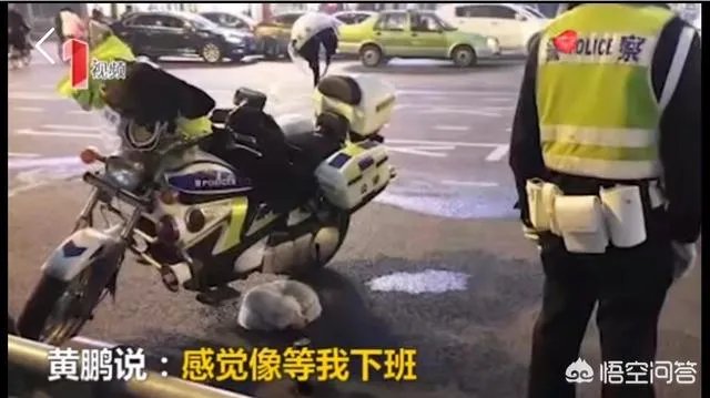 如何看待成都街头流浪小狗求助辅警，守候路边等他下班，最终被收养？