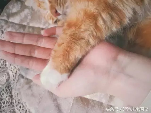 92年的都步入中年了,那你呢?