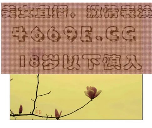 斗鱼上的闪现君,直播女生是怎么回事,那些女生是干什么的啊。还有什么面试?求解答,