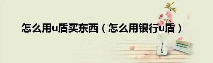 怎么用u盾买东西(怎么用银行u盾)