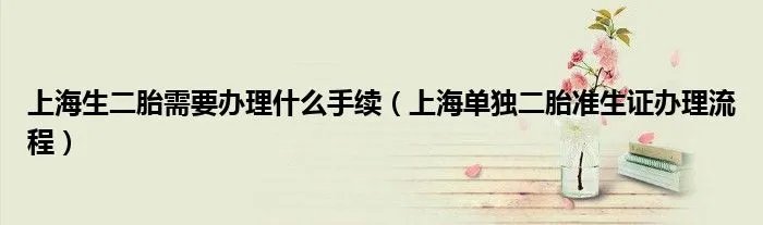上海生二胎需要办理什么手续（上海单独二胎准生证办理流程）