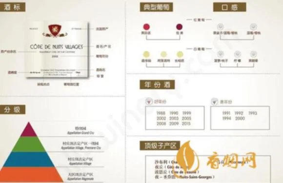 张裕爱斐堡蛇龙珠什么级别–风味独特的中高端葡萄酒