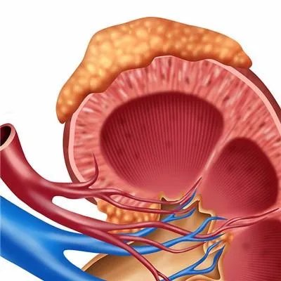 肾功能检查结果分析怎么看