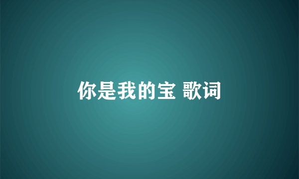 你是我的宝 歌词