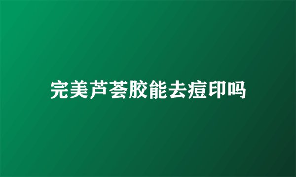 完美芦荟胶能去痘印吗
