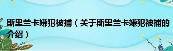 斯里兰卡嫌犯被捕(关于斯里兰卡嫌犯被捕的介绍)