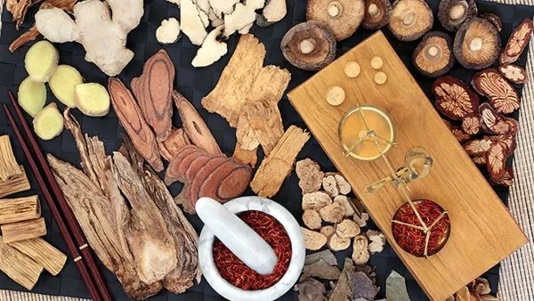 中药土鳖虫的功效与作用