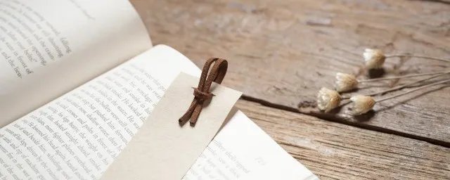 兔不可复得而身为宋国笑身的意思是什么