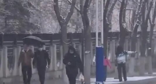 2020最冷冬天是不是谣传 2020年是最冷的冬天真的吗