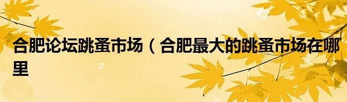 合肥论坛跳蚤市场(合肥最大的跳蚤市场在哪里