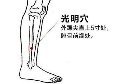 光明的准确位置怎么找