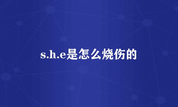 s.h.e是怎么烧伤的
