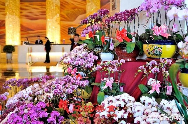 辽宁沈阳本地人人过年必须购买的年货有哪些？