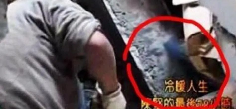 汶川地震恐怖真实图片 陈坚鬼脸原视频(半张脸是不是真的)