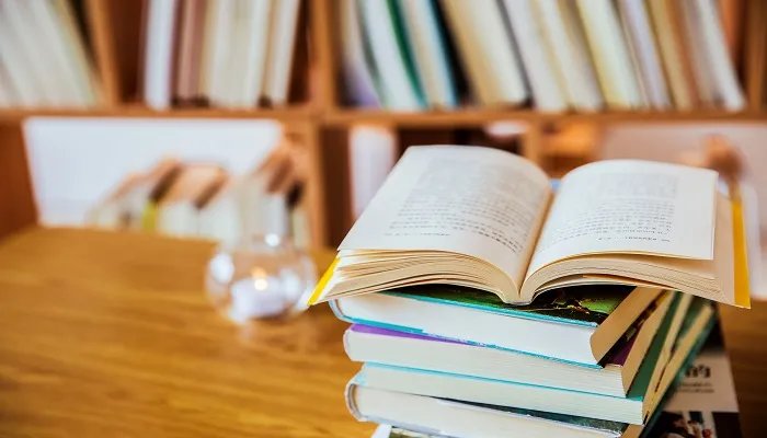 誓鸟的含义是什么 誓鸟的含义是什么意思