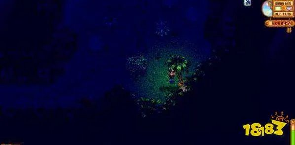 星露谷物语宝石鸟是什么 宝石鸟的摆放顺序分享