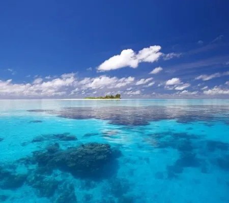 《韩霜霜萧景渊》小说全文免费阅读《我是你结婚三年的妻子》