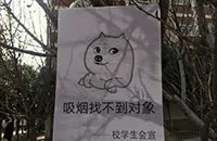 高校禁烟表情包是什么 高校禁烟表情包欣赏