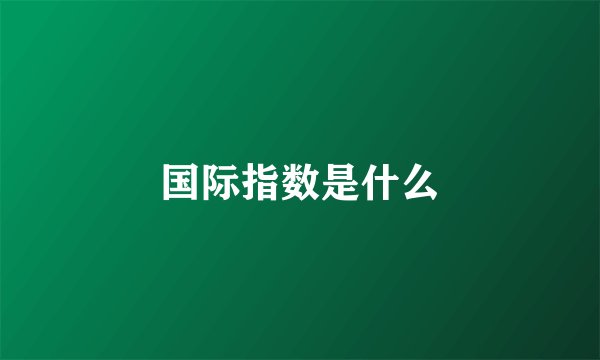 国际指数是什么
