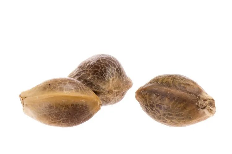 想要减肥，一定要记住这几件事