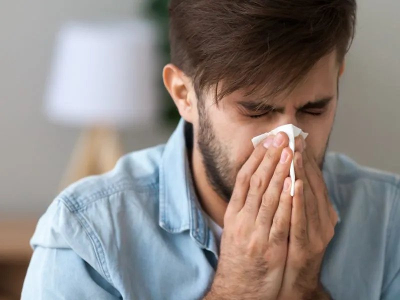 关于禽流感的介绍