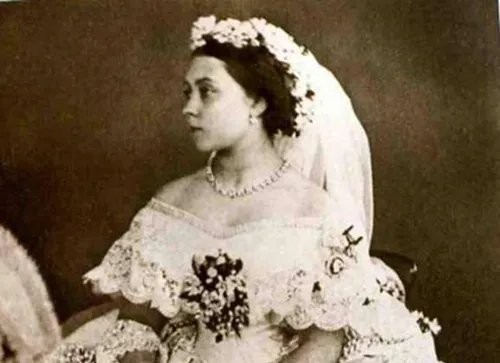 维多利亚女王婚纱是怎样的   什么颜色的婚纱好看