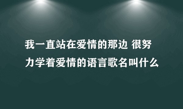 我一直站在爱情的那边 很努力学着爱情的语言歌名叫什么