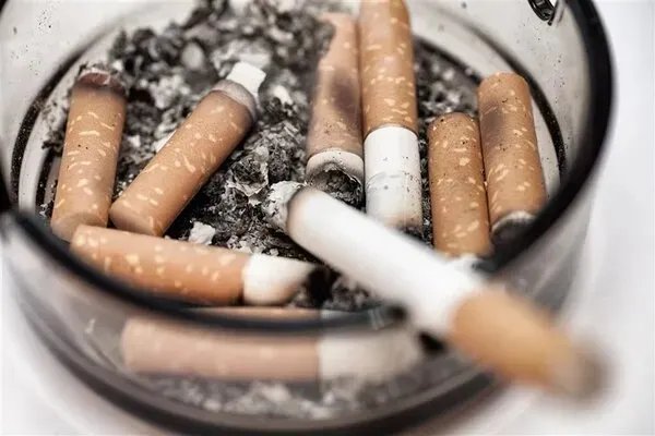 陈李济超越默克成最长寿药厂 “大南药”构想更进一步