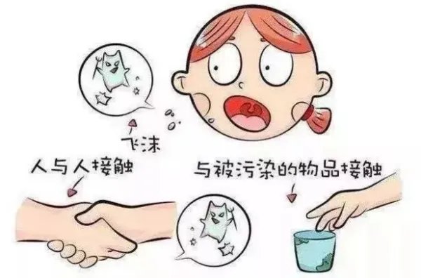 31省区市新增本土确诊5例,这些病例遍布在哪里?