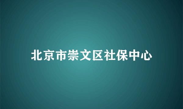 北京市崇文区社保中心