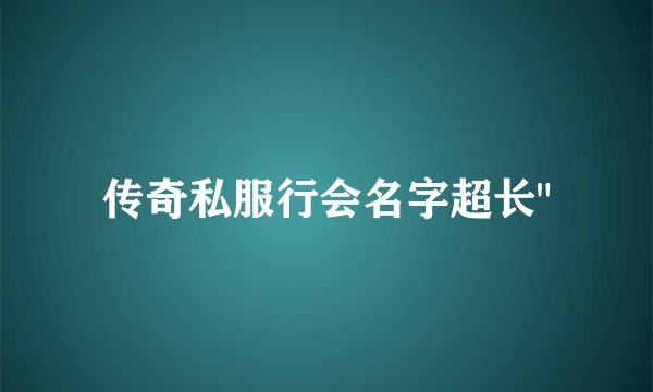 传奇私服行会名字超长