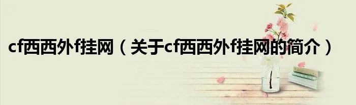 cf西西外f挂网（关于cf西西外f挂网的简介）