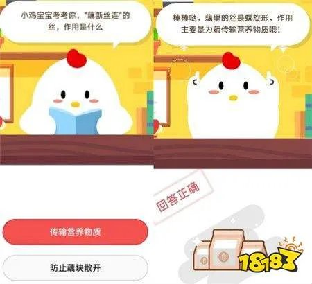 藕断丝连的丝作用是什么