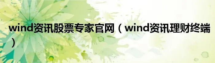 wind资讯股票专家官网(wind资讯理财终端)