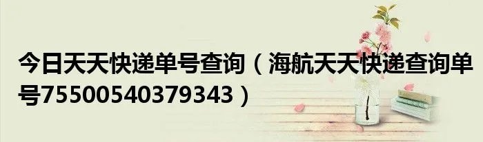 今日天天快递单号查询（海航天天快递查询单号75500540379343）